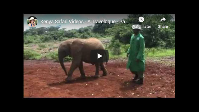 Kenya Safari Video - Africa Travelogue Part 2 | Nairobi Excursions