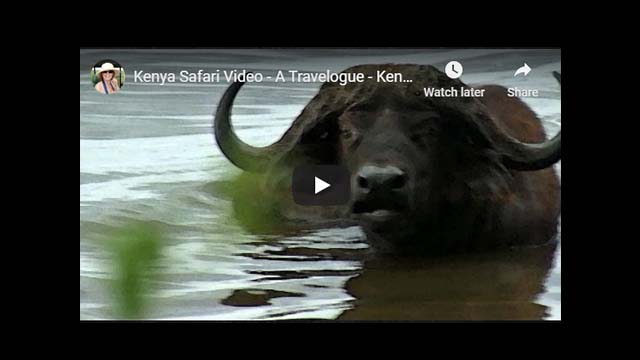 Kenya Safari Video - Africa Travelogue Part 5 | Lake Nakuru