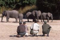 Customized Safaris in Zambia - www.africansafaris.travel