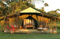 Elephant Pepper Camp