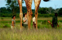 Customized Safaris in Zambia - www.africansafaris.travel