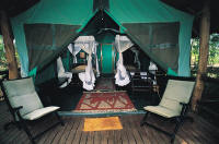 Customized Safaris in East Africa - www.africansafaris.travel