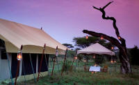 Serengeti Under Canvas - Honeymoon Safaris in Tanzania and Zanzibar Island - www.africansafaris.travel