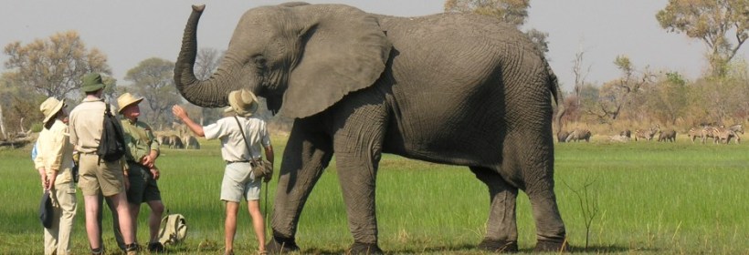 Sanctuary Baines Camp - www.africansafaris.travel