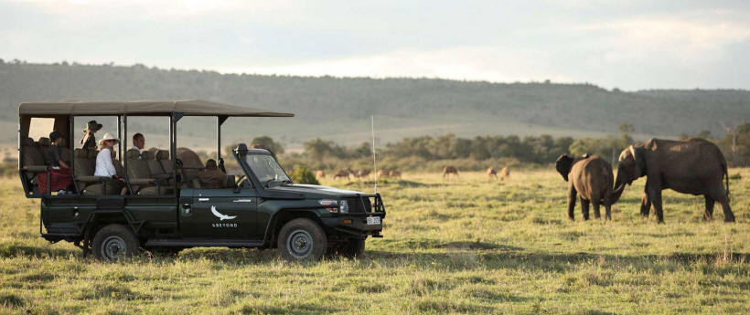 Bateleur Camp (Kenya) - www.africansafaris.travel