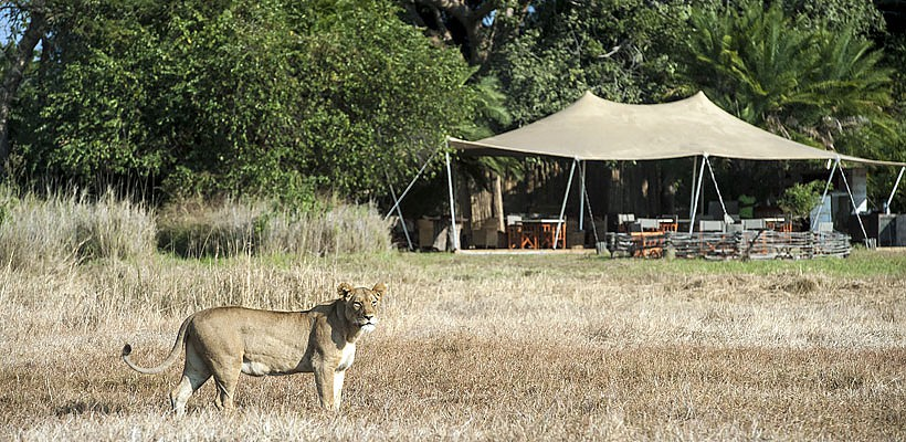 Busanga Camp - Wilderness Safaris - www.africansafaris.travel