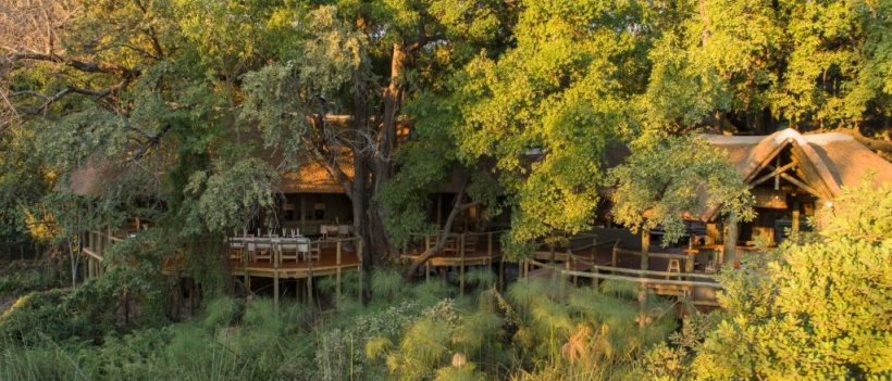 Camp Moremi (Okavango Delta) Botswana -  www.africansafaris.travel