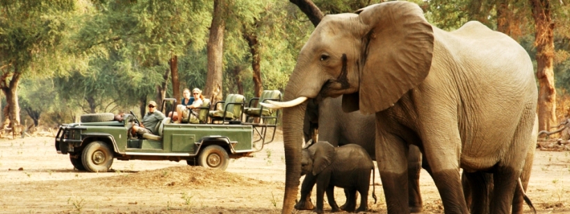 Chikwenya Safari Lodge, Mana Pools - www.africansafaris.travel