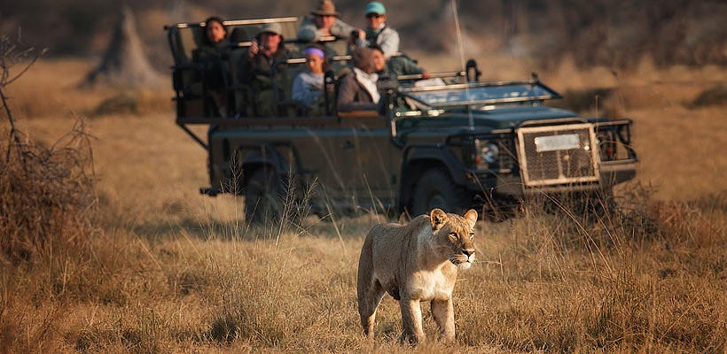 Chitabe Lediba Camp with Wilderness Safaris - www.africansafaris.travel