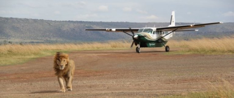 The Best of Kenya Safari (11 Days) - www.africansafaris.travel