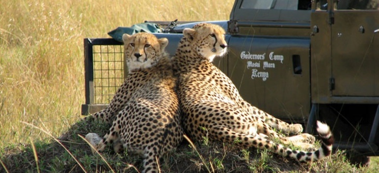 The Best of Kenya Safari (11 Days) - www.africansafaris.travel