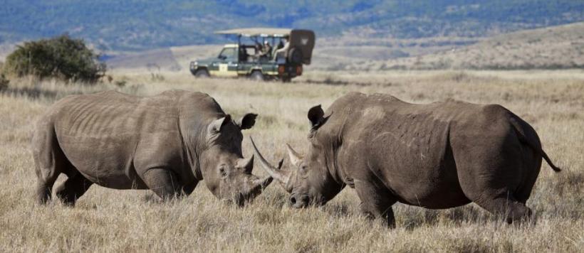 Bush Homes through Kenya Safari (10 Days) - www.africansafaris.travel