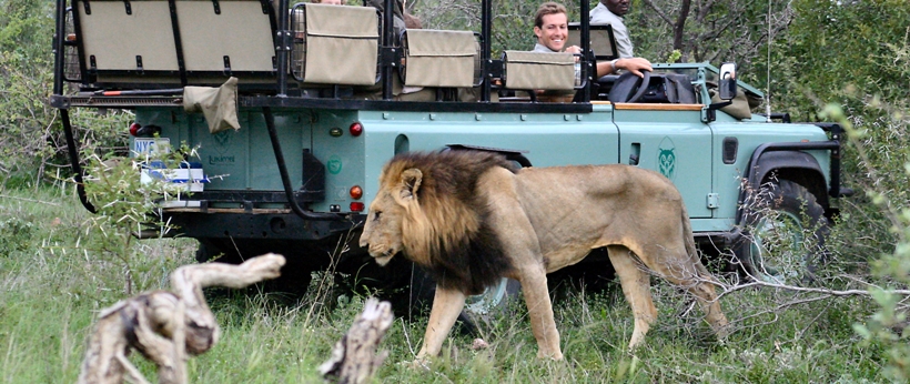 Lukimbi Safari Lodge (Northern Kruger National Park, Limpopo Province) South Africa - www.africansafaris.travel