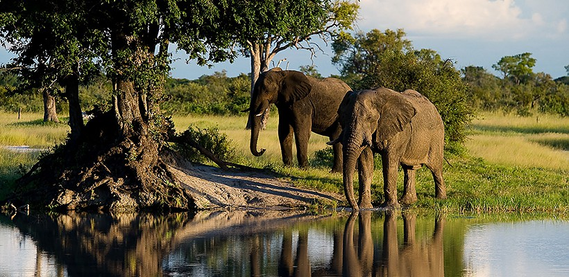 Little Makololo Camp - Picture by Wildernerss Safaris - www.africansafaris.travel