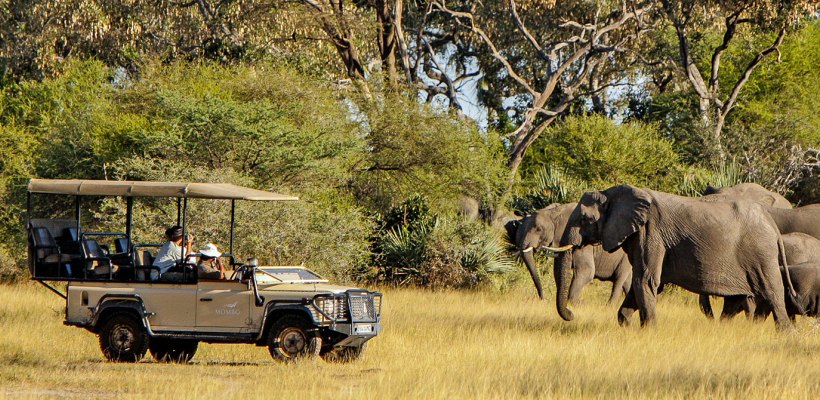 Little Mombo with Wilderness Safaris - www.africansafaris.travel