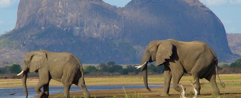 Lugenda Wilderness Lodge (Nyassa Wildlife Reserve) Mozambique - www.africansafaris.travel