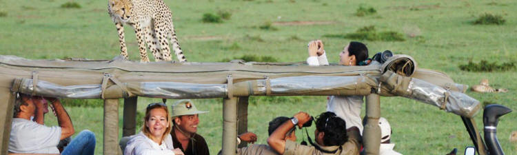 Mara Intrepids Camp (Masai Mara) Kenya - www.africansafaris.travel