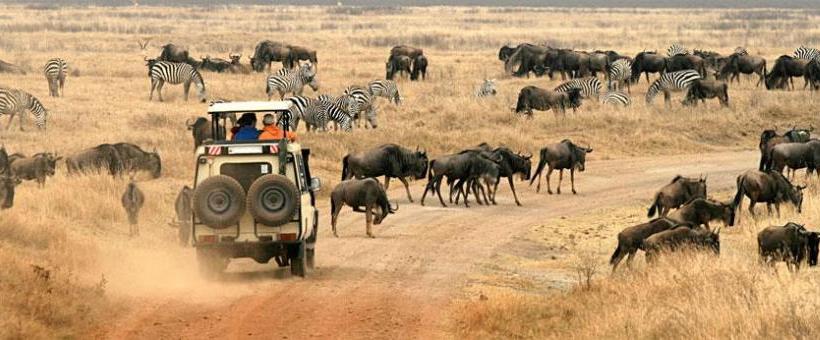 Lemala Ngorongoro Camp (Ngorongoro Conservation Area) Tanzania - www.africansafaris.travel