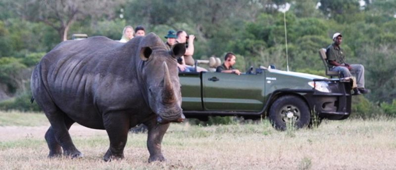 Nkorho Bush Lodge (Sabi Sand Game Reserve) South Africa - www.africansafaris.travel