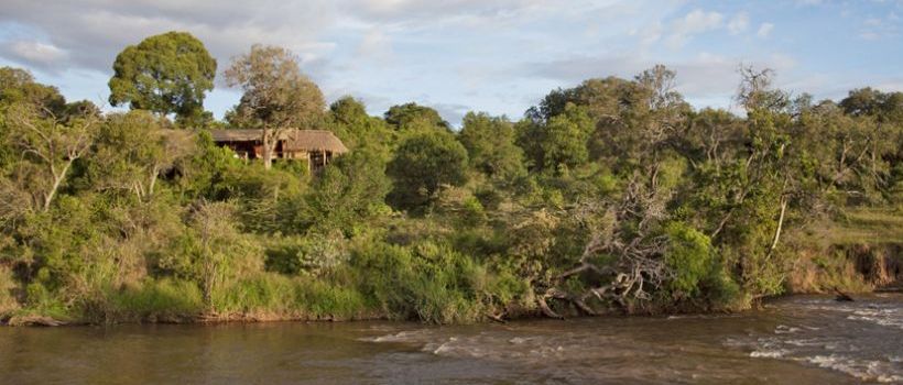 Serian (Mara North Conservancy - North of the Masai Mara Game Reserve) Kenya - www.africansafaris.travel