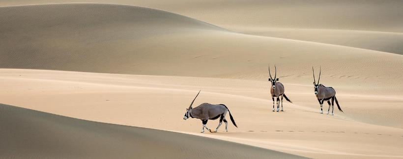 Serra Cafema Camp (Kaokoland Region) Namibia - www.africansafaris.travel