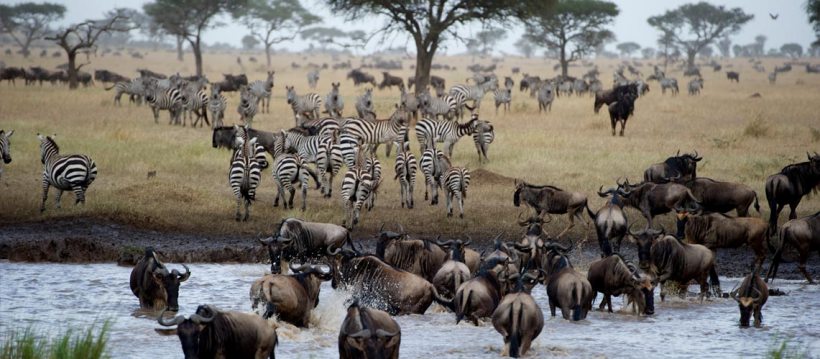 Singita Mara River Tented Camp (Lamai Triangle, Serengeti National Park) Tanzania - www.africansafaris.travel