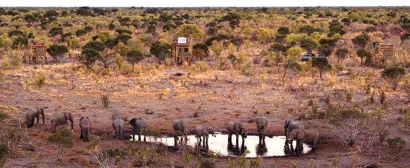 Skybeds (Kwai Concession, Moremi) Botswana - www.africansafaris.travel