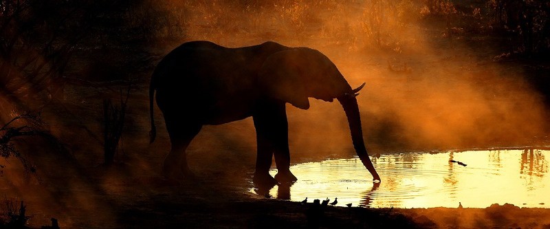 Skybeds (Kwai Concession, Moremi) Botswana - www.africansafaris.travel