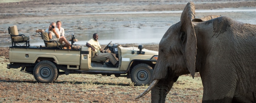 Tena Tena Camp (South Luangwa National Park) Zambia - www.africansafaris.travel