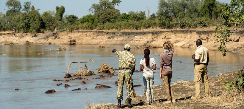 Tena Tena Camp (South Luangwa National Park) Zambia - www.africansafaris.travel