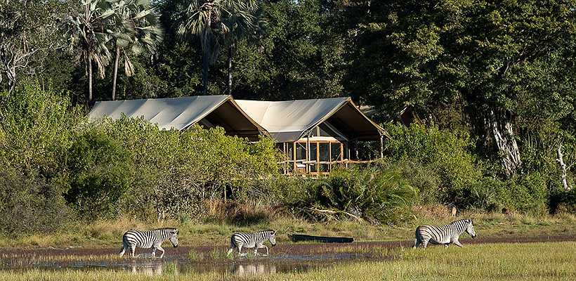 Tubu Tree Camp (Okavango Delta) Botswana with Wilderness Safaris - www.africansafaris.travel with Wilderness Safaris - www.africansafaris.travel