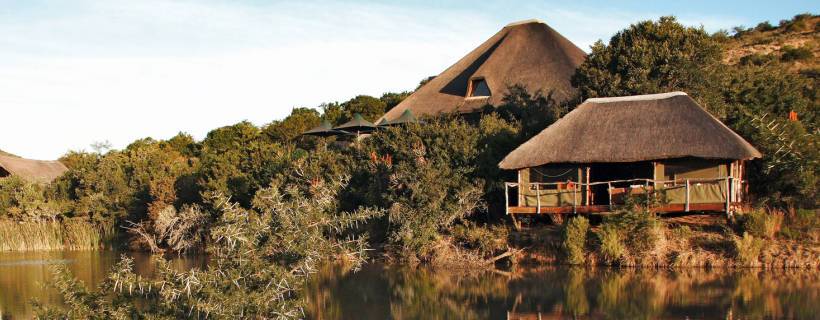 Shamwari Game Reserve (Eastern Cape) South Africa -  www.africansafaris.travel