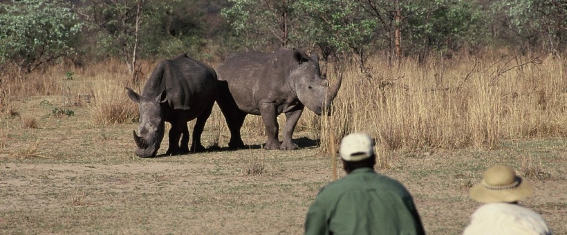 Big Cave Camp, Matabos, Zimbabwe - www.africansafaris.travel