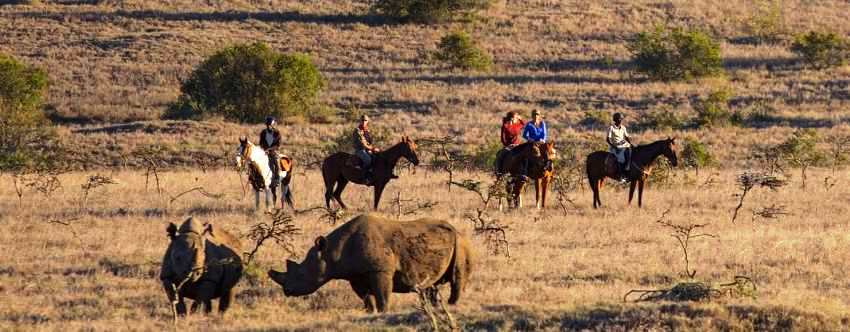 Borana Safari Lodge, Laikipia, Kenya - www.africansafaris.travel