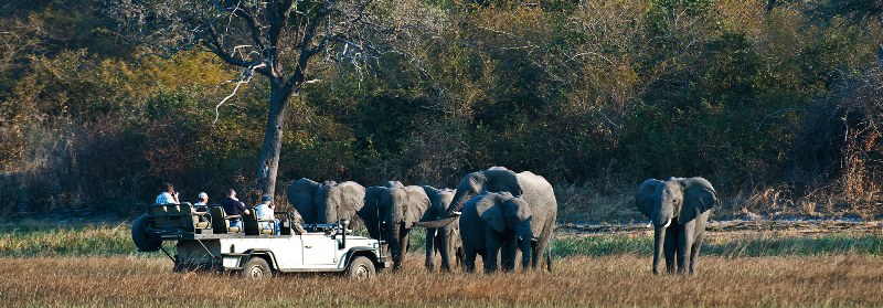 Busanga Camp - Wilderness Safaris - www.africansafaris.travel