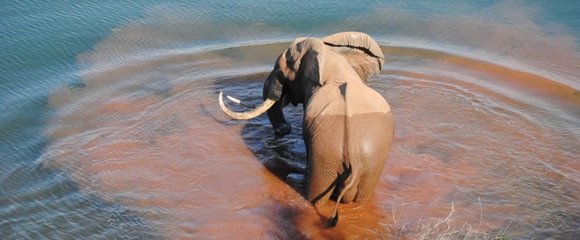 Changa Safari Camp, Lake Kariba - www.africansafaris.travel