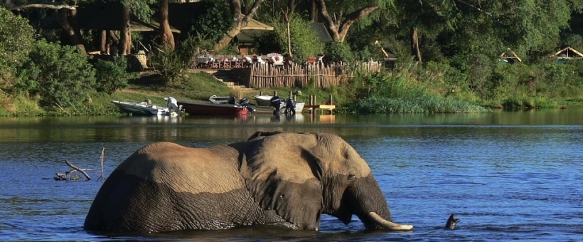 Chongwe River Camp, Zambia - www.africansafaris.travel