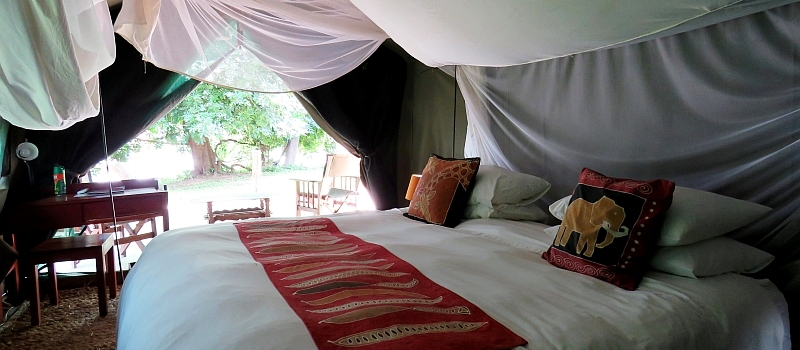 Croc Valley Camp (South Luangwa National Park) Zambia  - www.africansafaris.travel