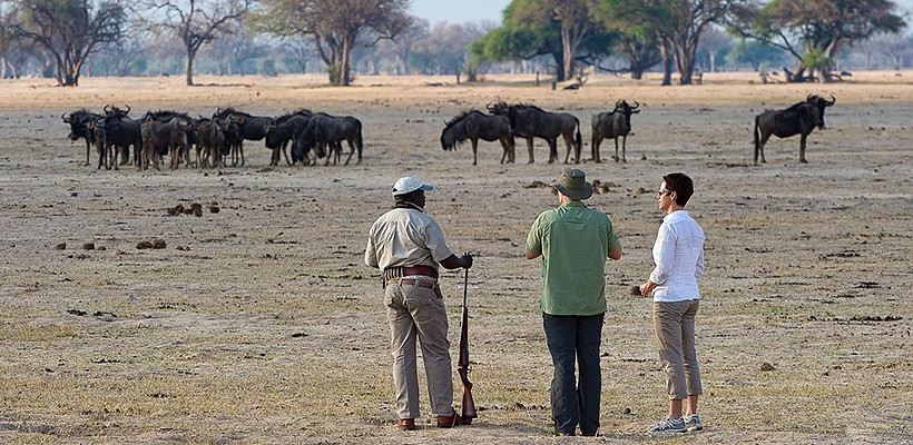 Davisons Camp - Picture by Wilderness Safaris - www.africansafaris.travel