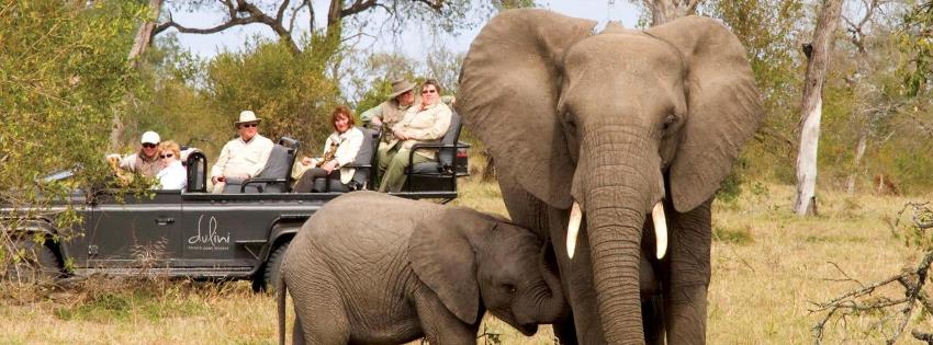 Dulini Leadwood Lodge Game  Drive - www.africansafaris.travel