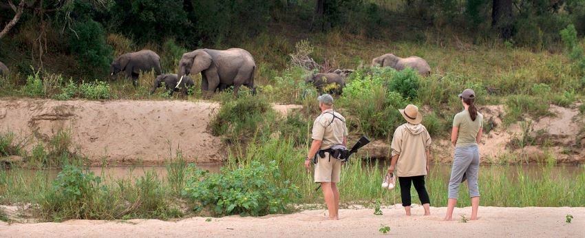 Dulini River Lodge Walk - www.africansafaris.travel