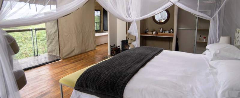 Elephants Eye Camp, Hwange Game Reserve -  www.africansafaris.travel