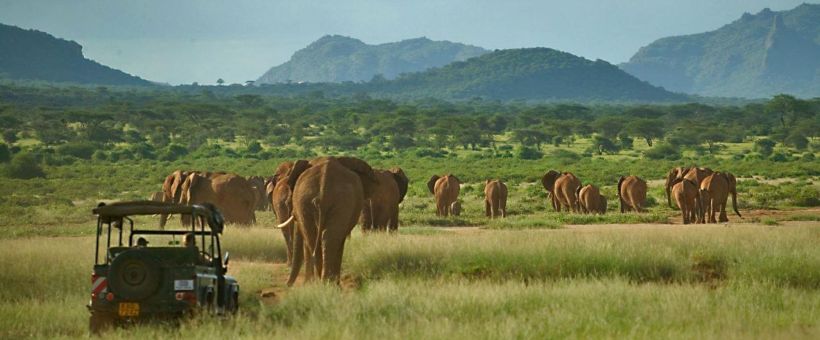 Elephant Watch Camp (Samburu / Shaba Game Reserve) Kenya - www.africansafaris.travel