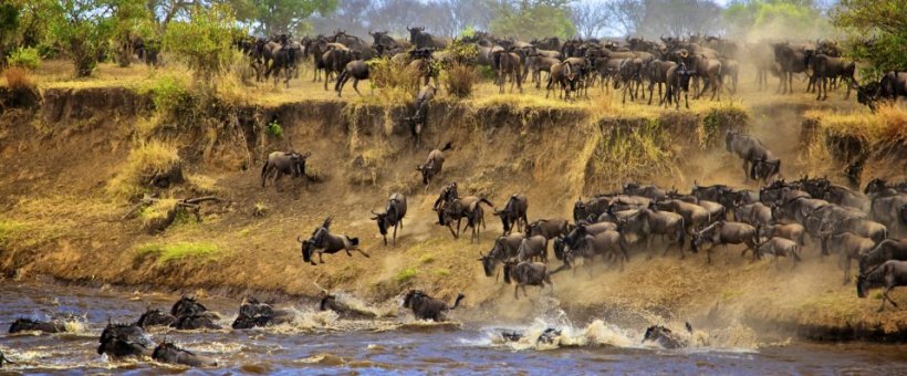 Entim Mara Safari Camp (Masai Mara) Kenya - www.africansafaris.travel