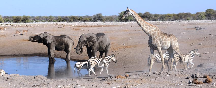 The Fort at Fishers Pan, Etosha, Namibia - www.africansafaris.travel