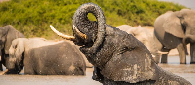 Ghoha Hills Savuti Lodge (Chobe National Park) Botswana - www.africansafaris.travel