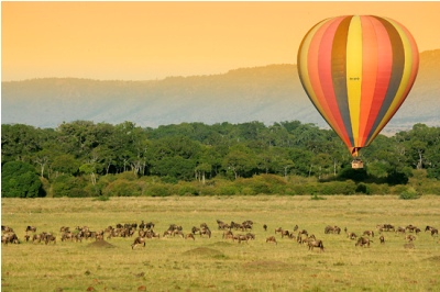 Customized Safaris in East Africa - www.africansafaris.travel