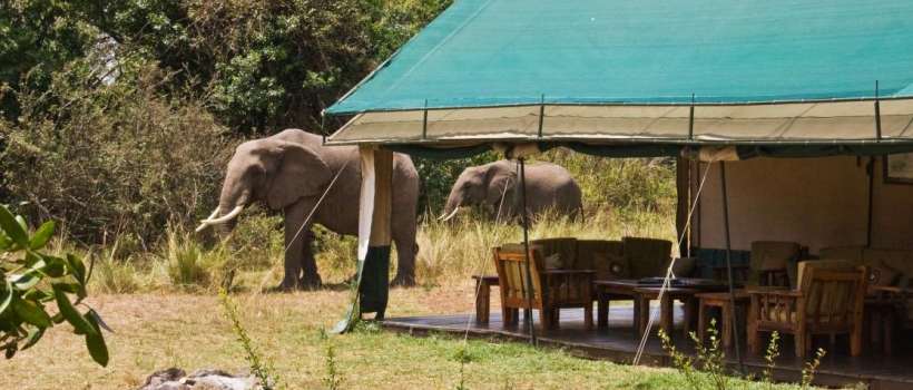 Governors' Private Camp, Masai Mara - www.africansafaris.travel