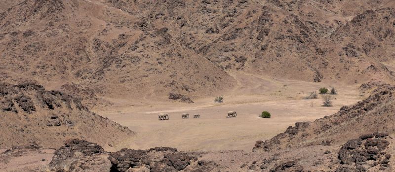 Hoanib Valley Camp (Skeleton Coast Park) Namibia - www.africansafaris.travel