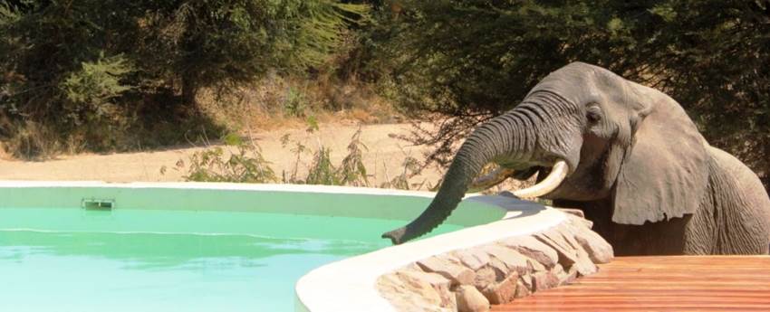 Jongomero Camp (Ruaha National Park) Tanzania - www.africansafaris.travel